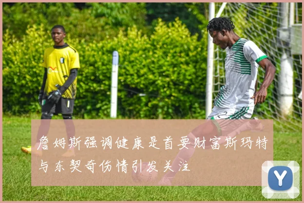 詹姆斯强调健康是首要财富斯玛特与东契奇伤情引发关注